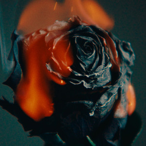 老公弄我一边干一边说粗话电影
