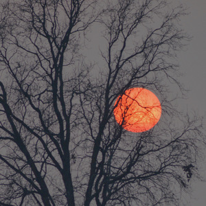 老公弄我一边干一边说粗话电影
