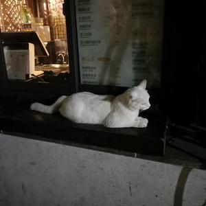 老公弄我一边干一边说粗话电影
